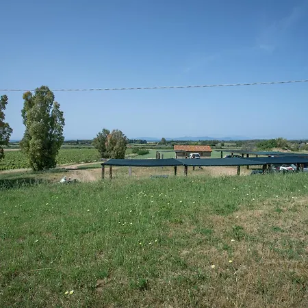 Cerboli